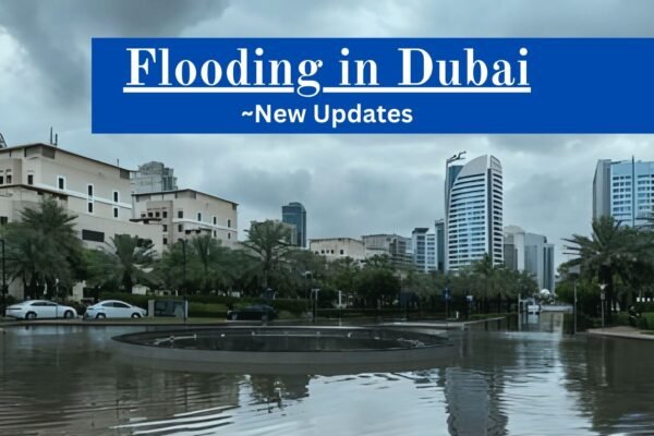 Dubai Floods a flooded city with buildings and trees